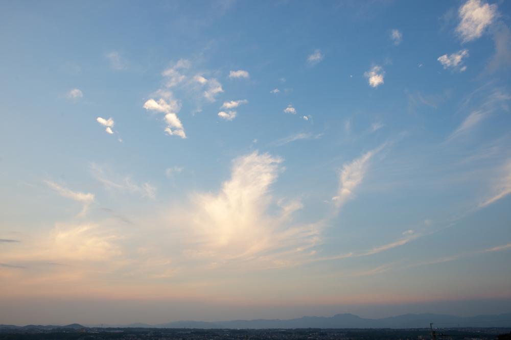 ファイル名: DF1_4461.jpg
ファイルサイズ: 31.4KB DF1_4461