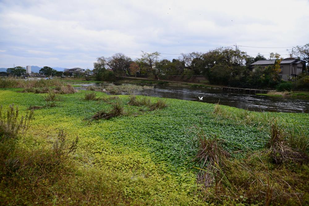 ファイル名: D60_9714.jpg
ファイルサイズ: 138.8KB D60_9714