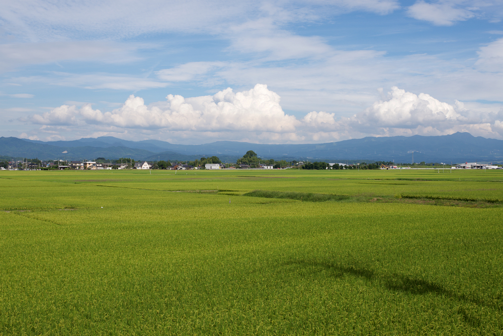 ファイル名: D60_7167.jpg
ファイルサイズ: 950.1KB D60_7167