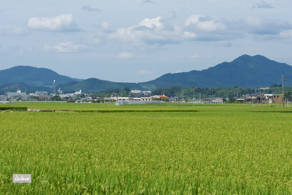 ファイル名: D75_3367.jpg
ファイルサイズ: 836.4KB D75_3367