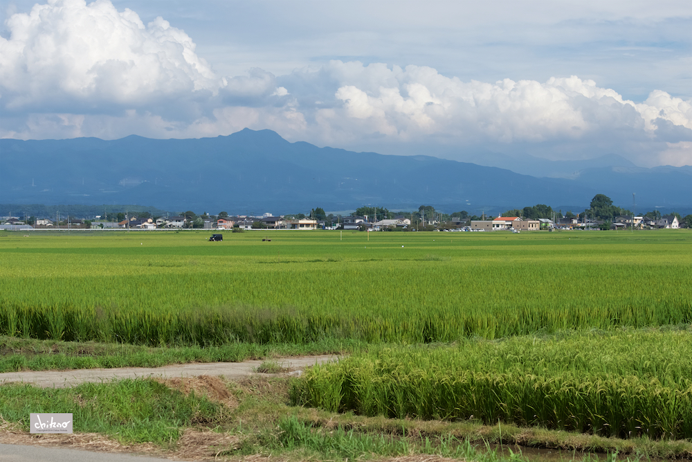 ファイル名: D75_3369.jpg
ファイルサイズ: 862.8KB D75_3369