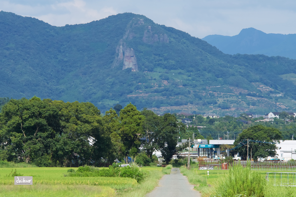 ファイル名: D75_3382.jpg
ファイルサイズ: 915KB D75_3382