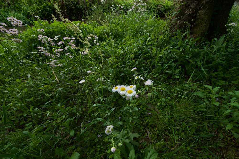 ファイル名: 800_5149.jpg
ファイルサイズ: 1.28MB 800_5149