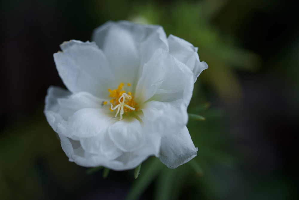 ファイル名: D75_4182.jpg
ファイルサイズ: 417.5KB D75_4182