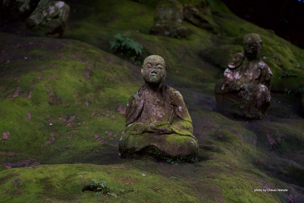ファイル名: D750-70-200mm-4.jpg
ファイルサイズ: 686.8KB D750-70-200mm-4
