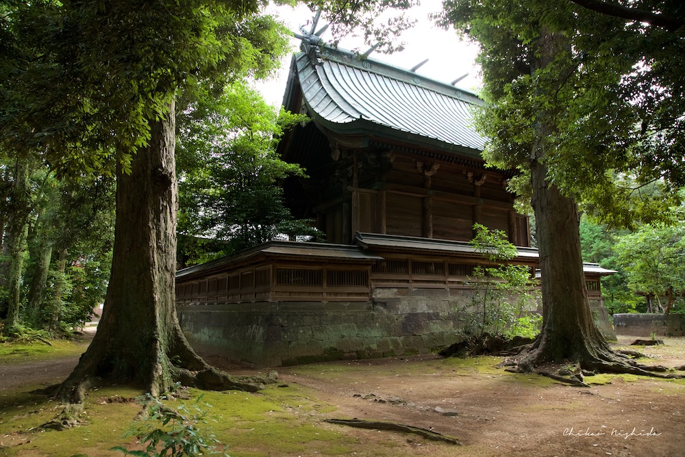 ファイル名: D75_0594.jpg
ファイルサイズ: 384.7KB D75_0594