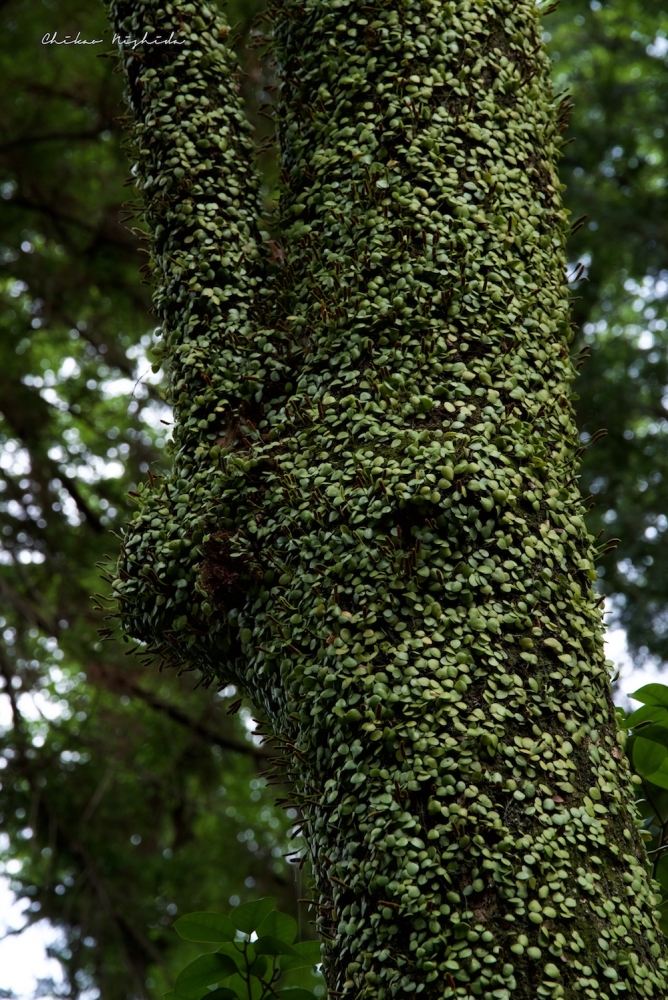 ファイル名: D75_0638.jpg
ファイルサイズ: 644.3KB D75_0638