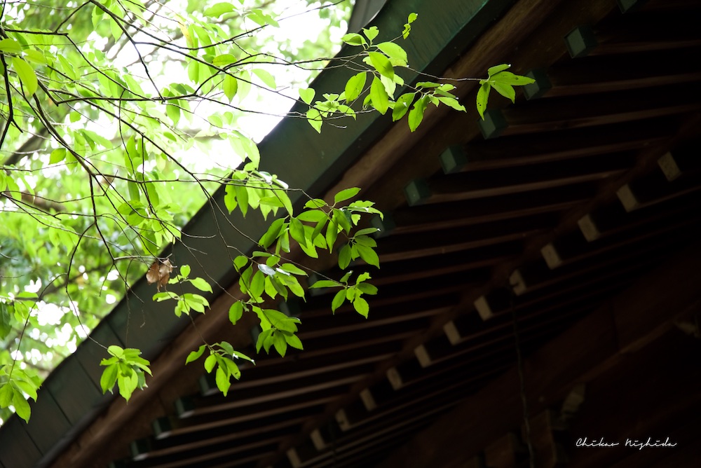 ファイル名: D75_0648.jpg
ファイルサイズ: 220.1KB D75_0648