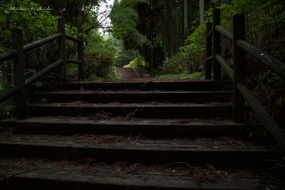 ファイル名: D75_4867.jpg
ファイルサイズ: 243.4KB D75_4867