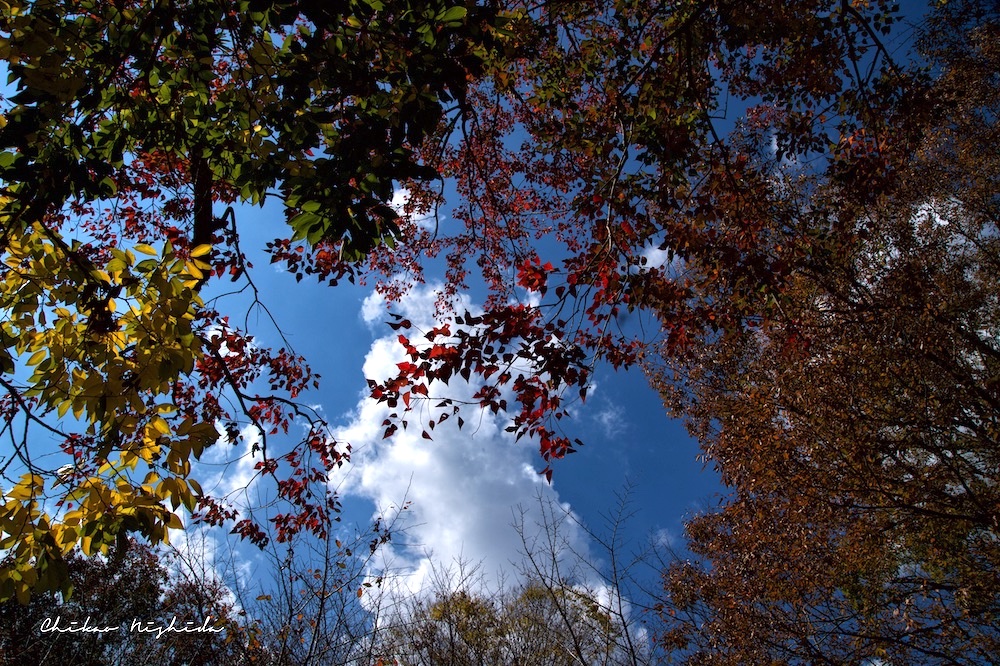 ファイル名: DFD_9431.jpg
ファイルサイズ: 454.6KB DFD_9431