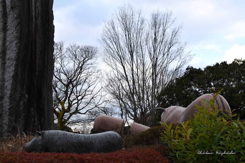 ファイル名: 850_8494.jpg
ファイルサイズ: 311.5KB 850_8494