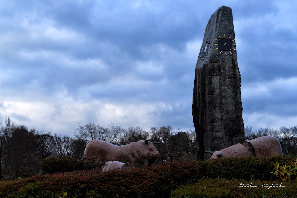 ファイル名: 850_8500.jpg
ファイルサイズ: 199KB 850_8500