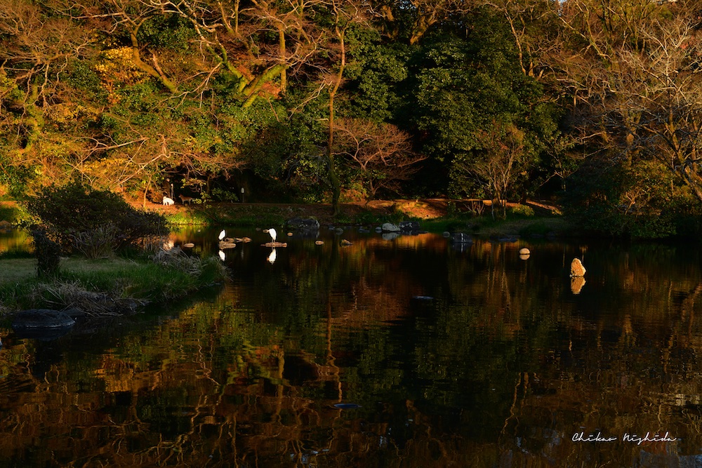 ファイル名: 850_8691.jpg
ファイルサイズ: 378.6KB 850_8691