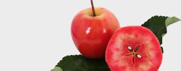 RED-APPLE-1