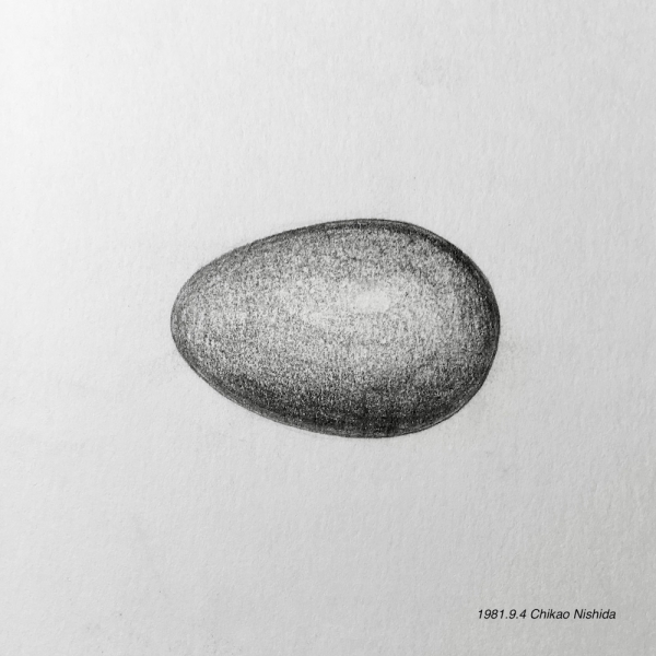 egg1981-9-4