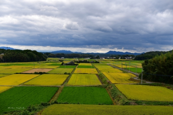 20241008yamaga-38