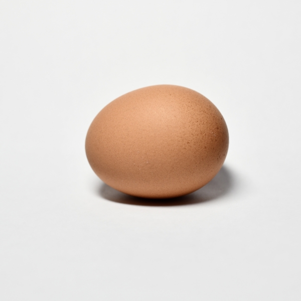 egg-big