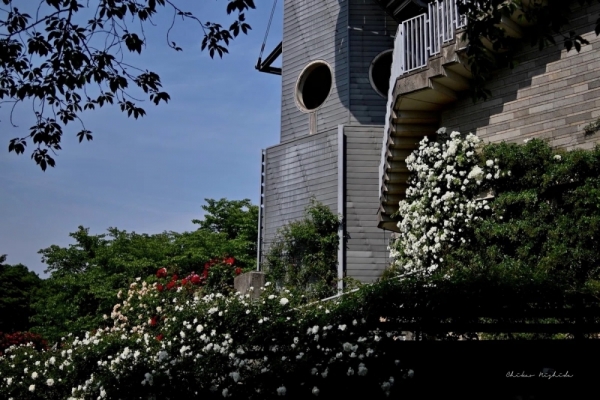 ファイル名: 20250516camera-5.jpeg
ファイルサイズ: 532.8KB
→クリックで元のサイズを表示 20250516camera-5