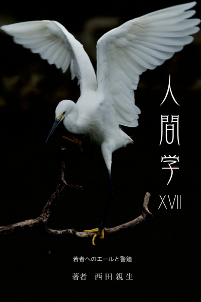 ファイル名: xviiikindle-b.jpg
ファイルサイズ: 293.2KB
→クリックで元のサイズを表示 xviiikindle-b