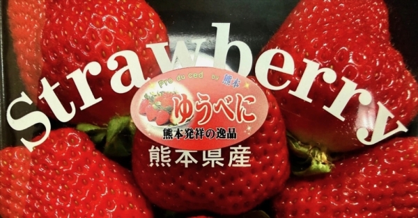 ファイル名: 20260225strawberry-1.jpeg
ファイルサイズ: 428.7KB
→クリックで元のサイズを表示 20260225strawberry-1