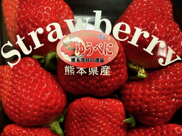 ファイル名: 20260225strawberry-3.jpeg
ファイルサイズ: 597.9KB
→クリックで元のサイズを表示 20260225strawberry-3