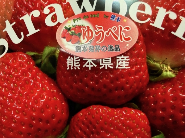 ファイル名: 20260225strawberry-4.jpeg
ファイルサイズ: 563KB
→クリックで元のサイズを表示 20260225strawberry-4