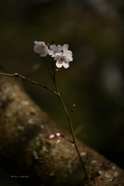 20260529ureshiimail-2